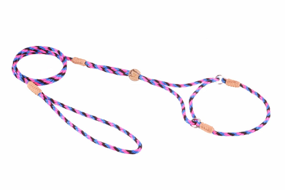 Nylon Martingale Leads (8 in x 1/8 in or 4 mm) - Pets Perfect