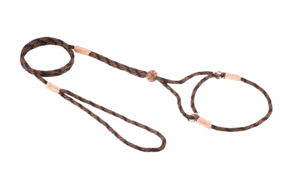 Nylon Martingale Leads (8 in x 1/8 in or 4 mm) - Pets Perfect