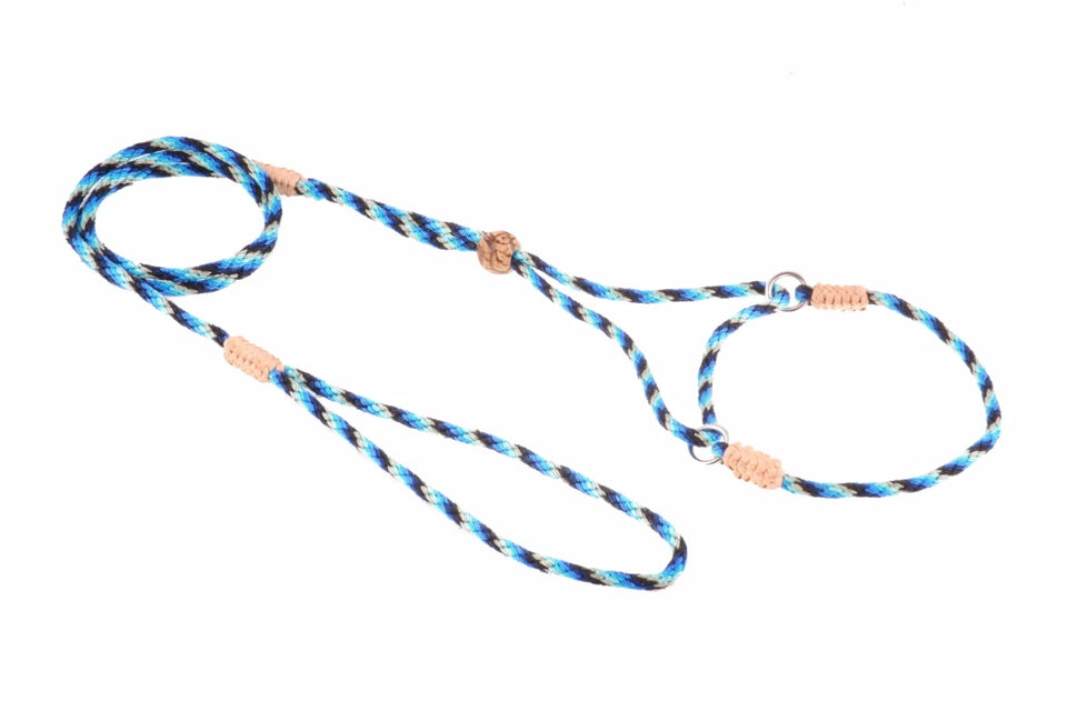 Nylon Martingale Leads (8 in x 1/8 in or 4 mm) - Pets Perfect