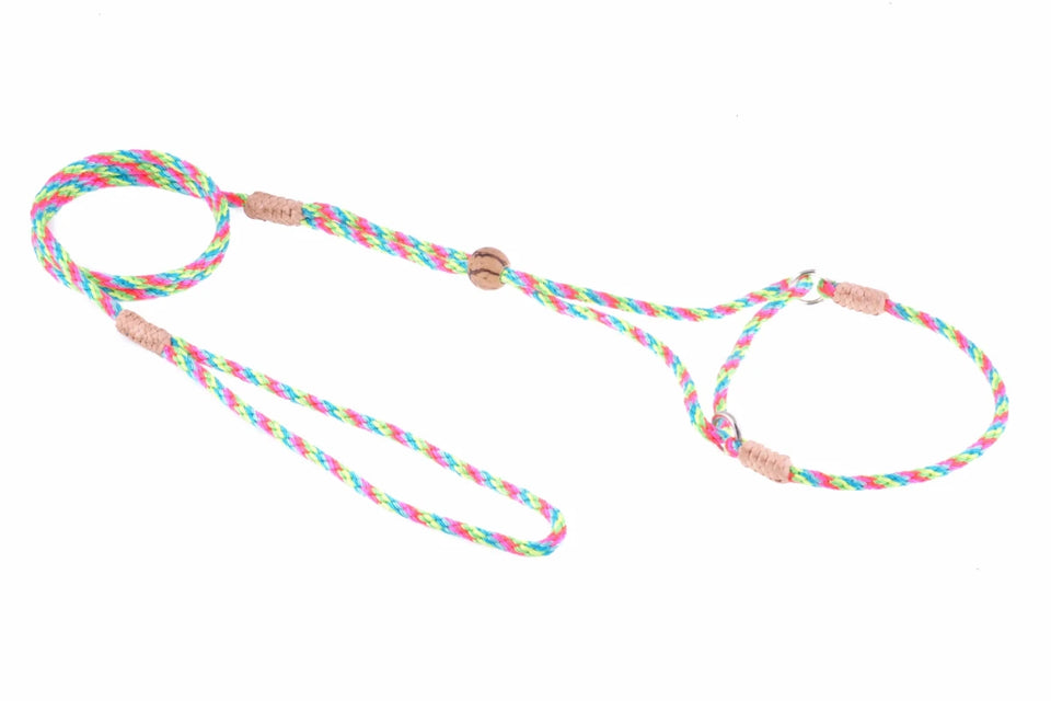 Nylon Martingale Leads (8 in x 1/8 in or 4 mm) - Pets Perfect