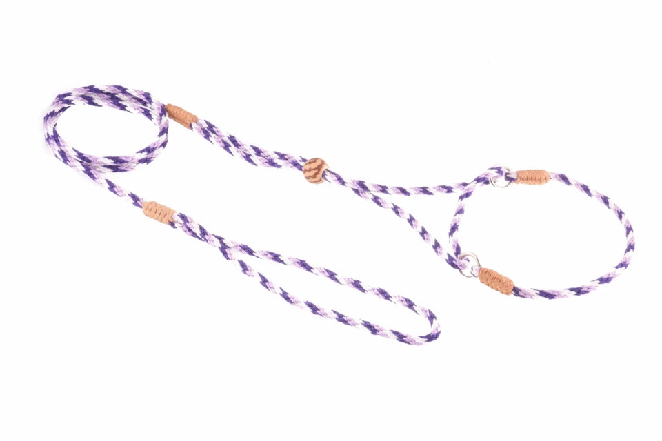 Nylon Martingale Leads (8 in x 1/8 in or 4 mm) - Pets Perfect