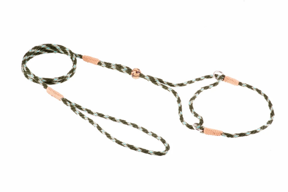 Nylon Martingale Leads (8 in x 1/8 in or 4 mm) - Pets Perfect
