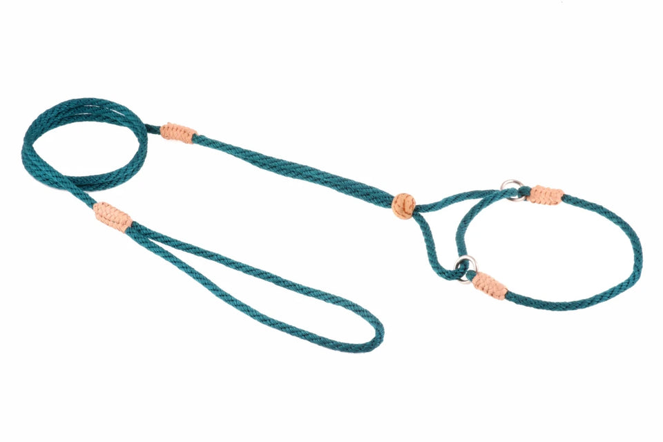 Nylon Martingale Leads (8 in x 1/8 in or 4 mm) - Pets Perfect