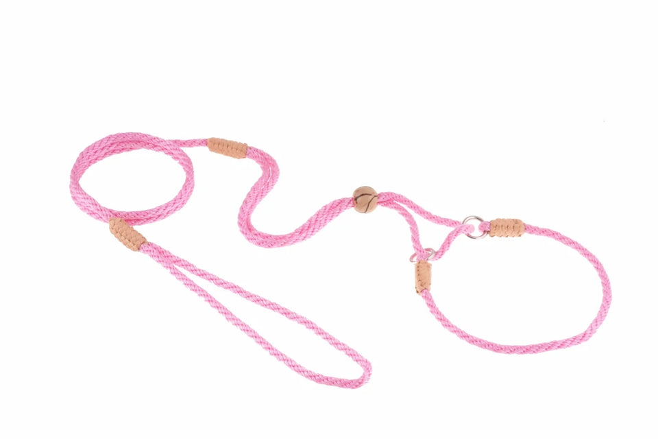 Nylon Martingale Leads (10 in x 1/8 in or 4 mm) - Pets Perfect