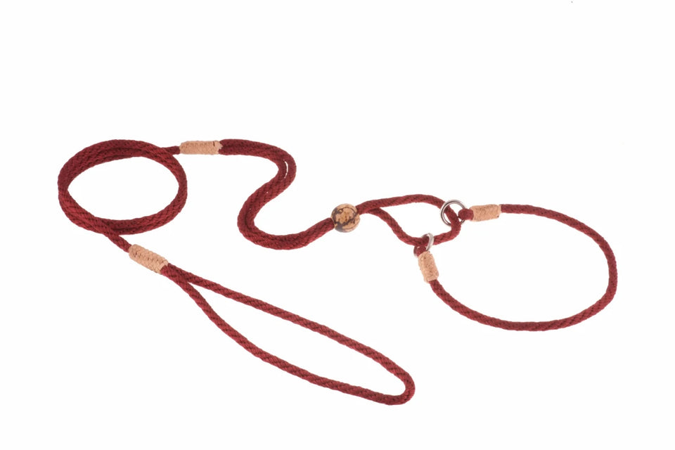 Nylon Martingale Leads (10 in x 1/8 in or 4 mm) - Pets Perfect