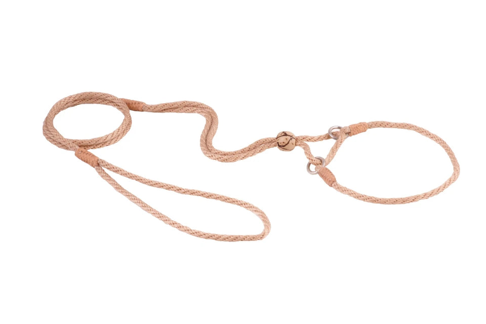 Nylon Martingale Leads (10 in x 1/8 in or 4 mm) - Pets Perfect