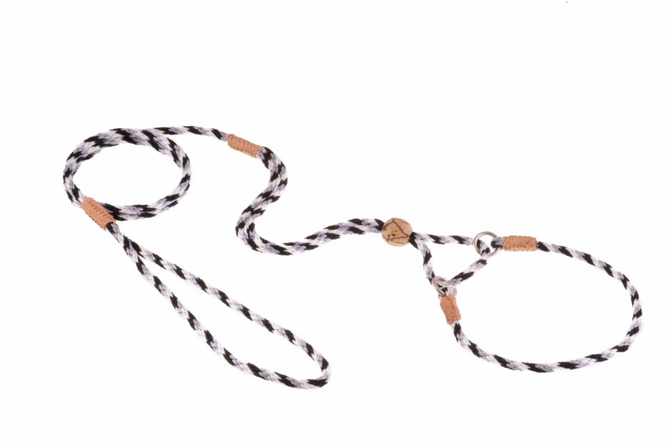 Nylon Martingale Leads (10 in x 1/8 in or 4 mm) - Pets Perfect
