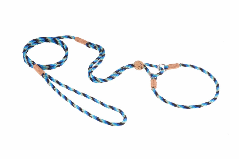 Nylon Martingale Leads (10 in x 1/8 in or 4 mm) - Pets Perfect