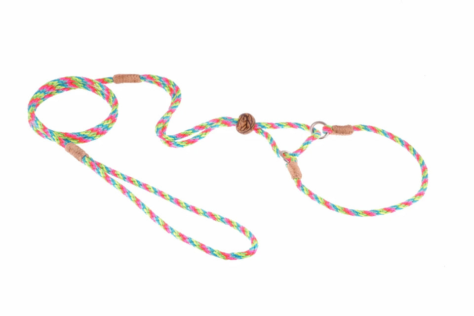 Nylon Martingale Leads (10 in x 1/8 in or 4 mm) - Pets Perfect
