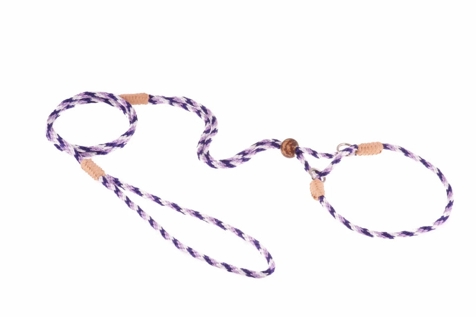 Nylon Martingale Leads (10 in x 1/8 in or 4 mm) - Pets Perfect