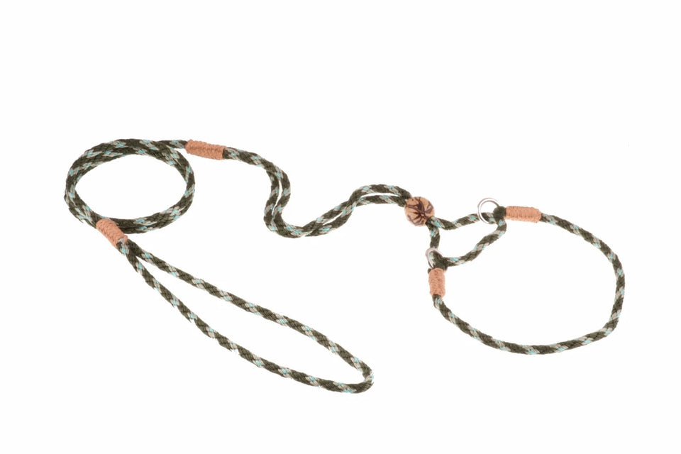 Nylon Martingale Leads (10 in x 1/8 in or 4 mm) - Pets Perfect