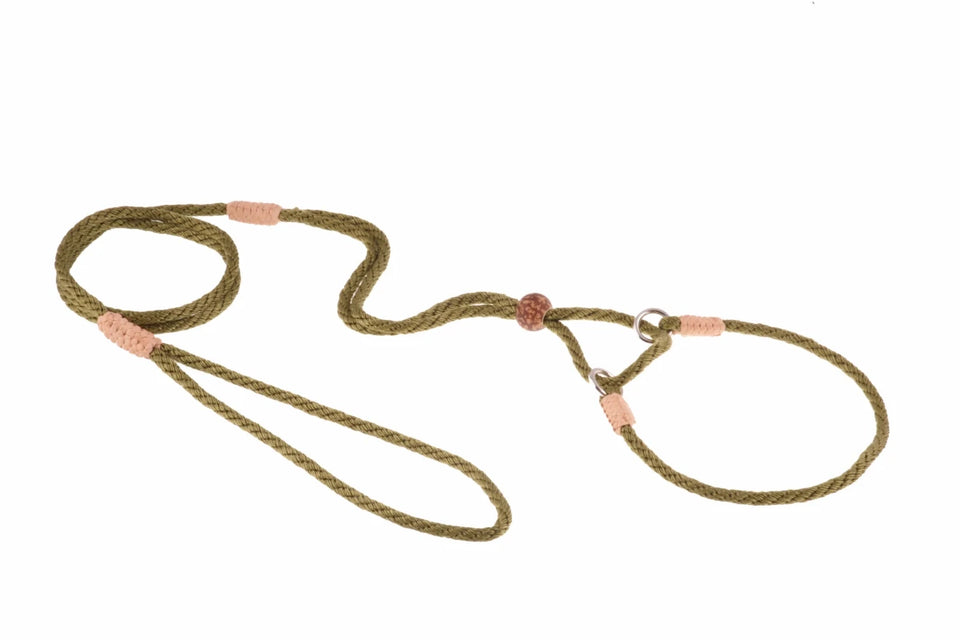 Nylon Martingale Leads (10 in x 1/8 in or 4 mm) - Pets Perfect