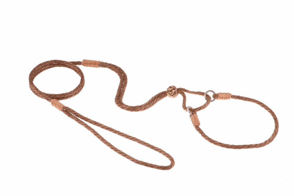 Nylon Martingale Leads (10 in x 1/8 in or 4 mm) - Pets Perfect