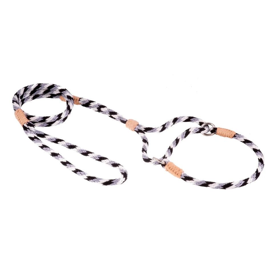 Nylon Martingale Leads (10 in x 1/4 in or 6 mm) - Pets Perfect