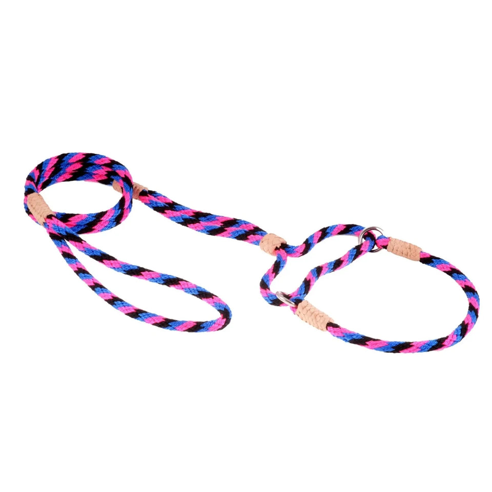 Nylon Martingale Leads (10 in x 1/4 in or 6 mm) - Pets Perfect
