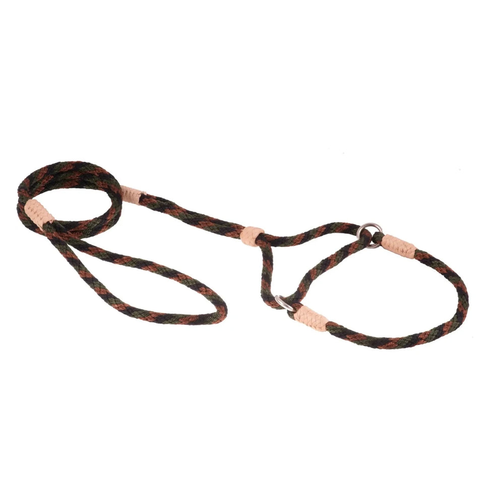 Nylon Martingale Leads (10 in x 1/4 in or 6 mm) - Pets Perfect