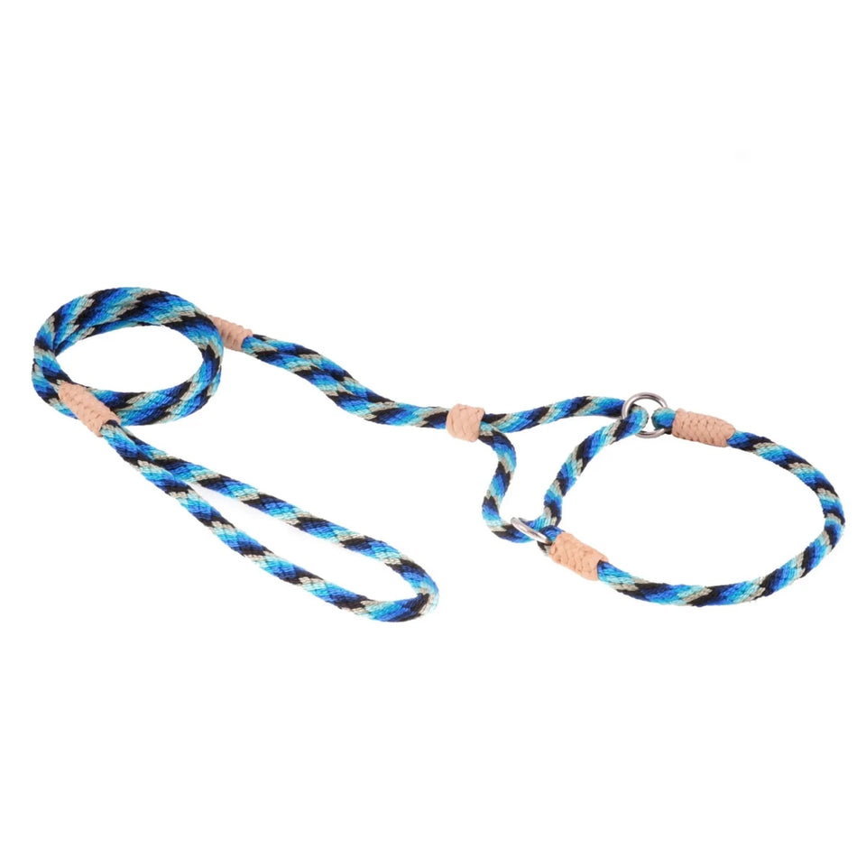 Nylon Martingale Leads (10 in x 1/4 in or 6 mm) - Pets Perfect
