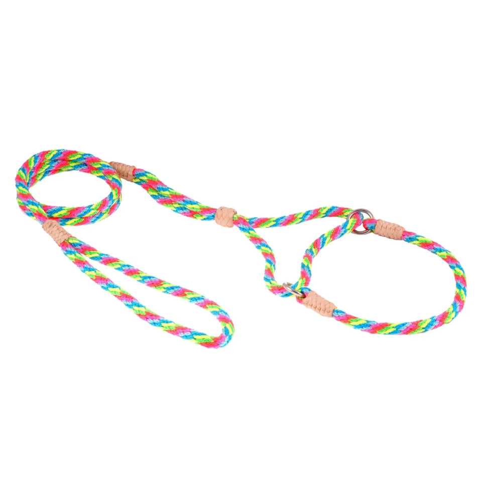 Nylon Martingale Leads (10 in x 1/4 in or 6 mm) - Pets Perfect