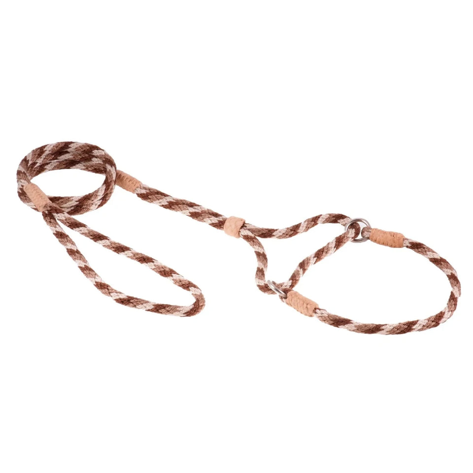 Nylon Martingale Leads (10 in x 1/4 in or 6 mm) - Pets Perfect
