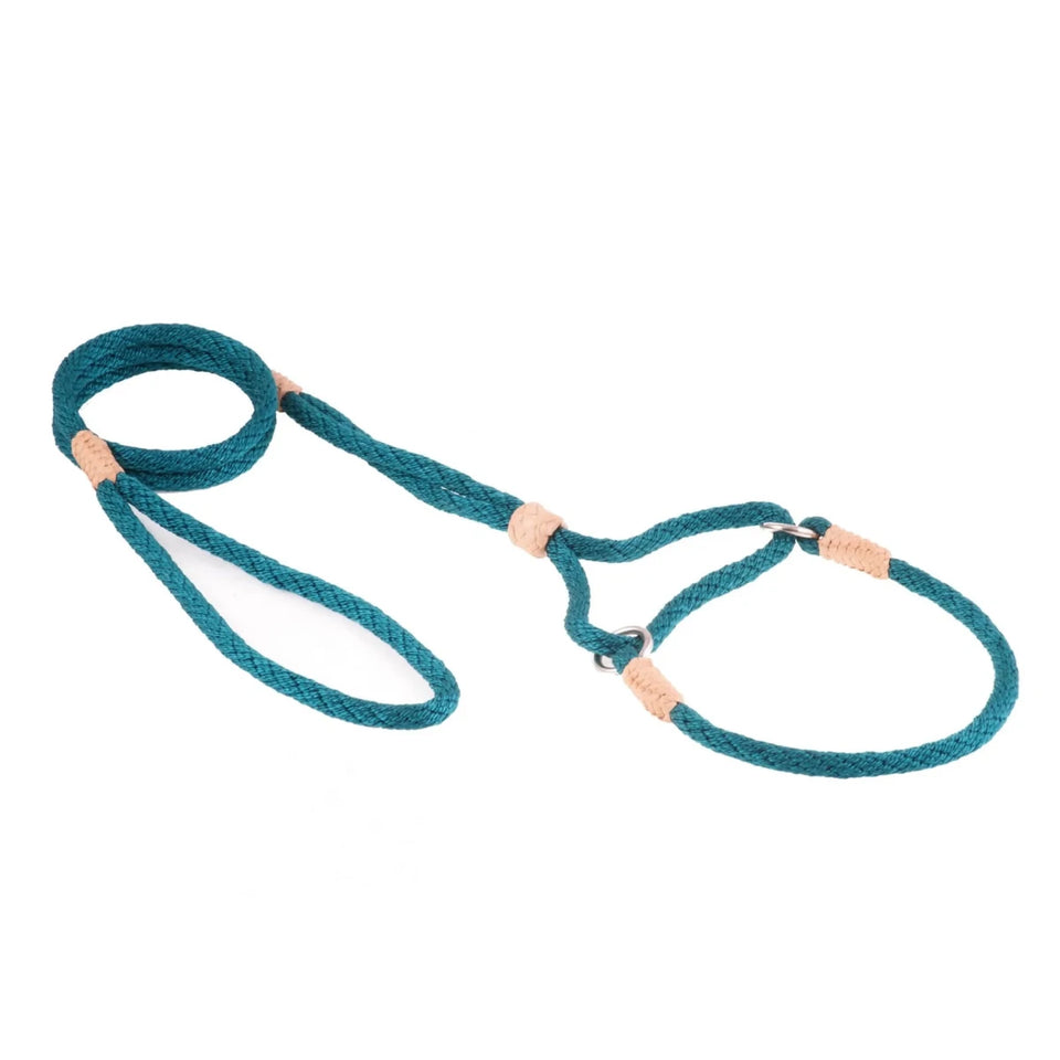 Nylon Martingale Leads (10 in x 1/4 in or 6 mm) - Pets Perfect