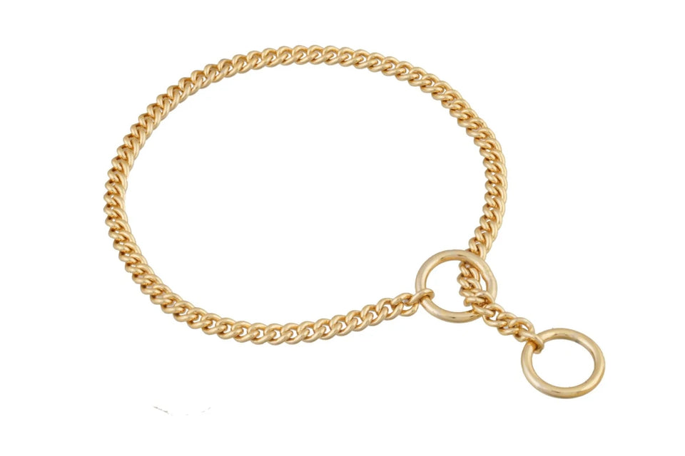 Slip Curve Show Chain Dog Collar (12 in x 1.2 mm) - Pets Perfect