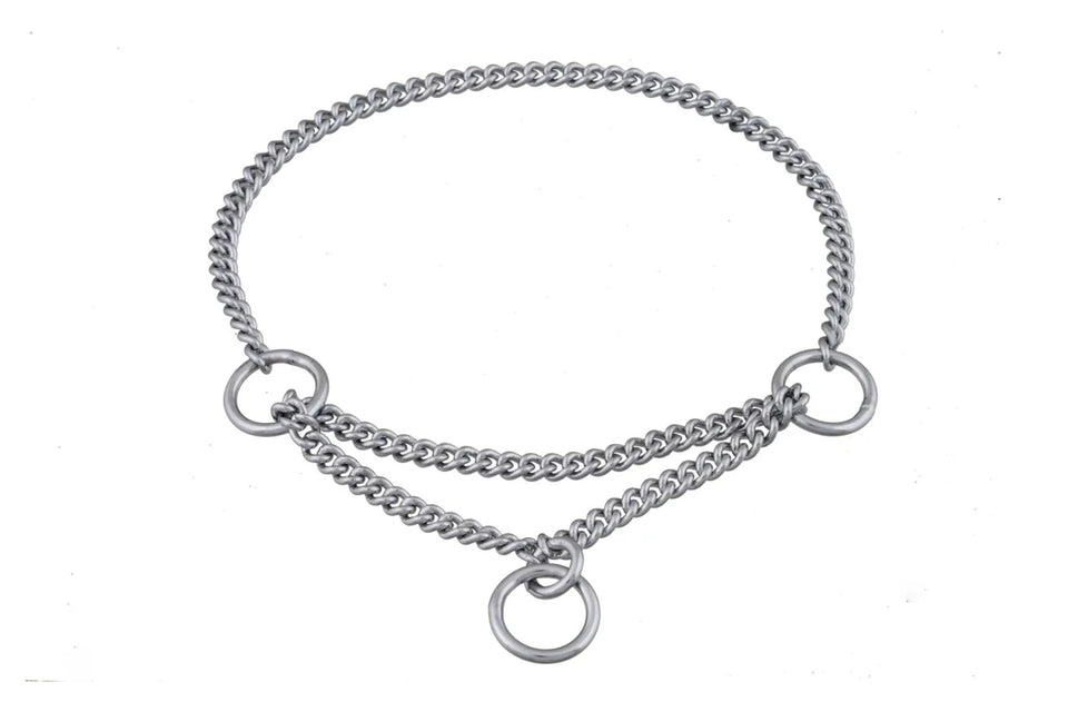 Martingale Show Chain Dog Collar (14 in x 1.4 mm) - Pets Perfect