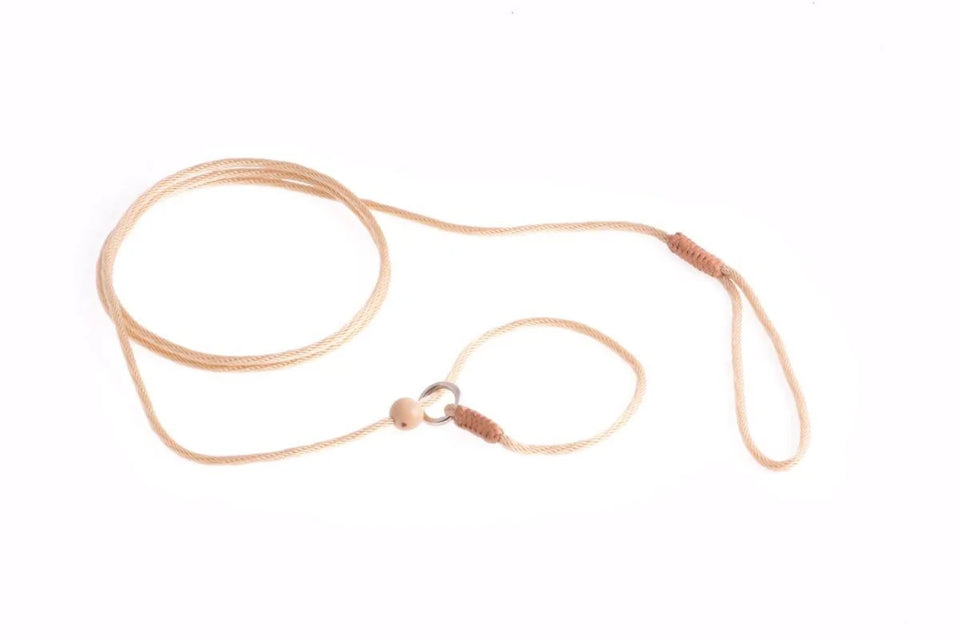 Nylon Slip Lead With Stopper (4 ft x 1/16 or 2 mm) - Pets Perfect