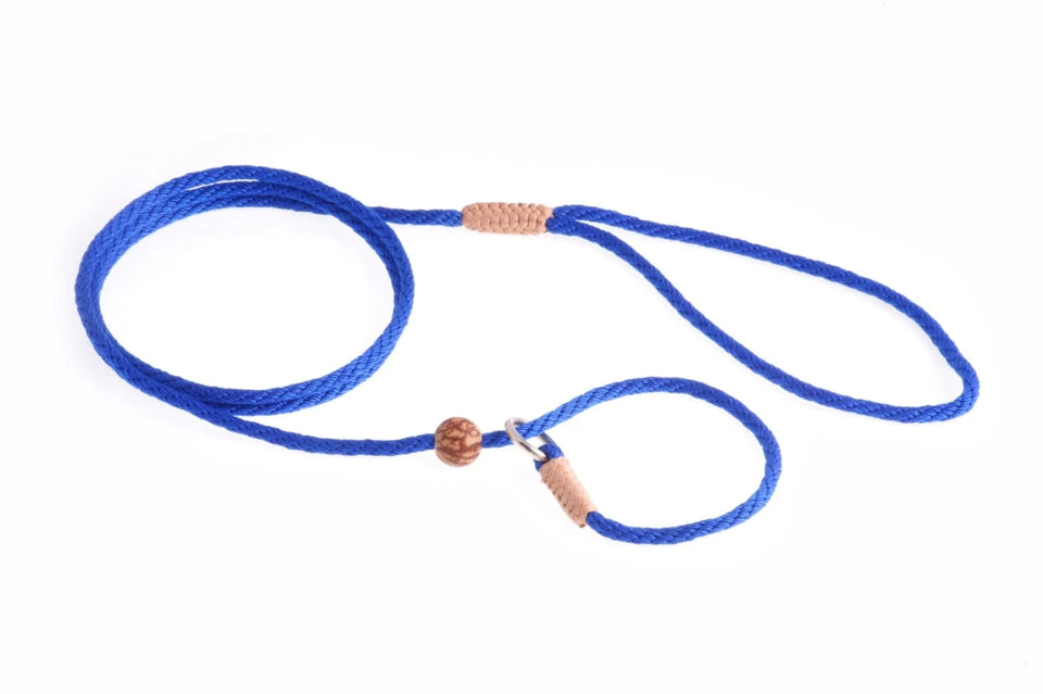 Nylon Slip Lead With Stopper (4 ft x 1/8 in or 4 mm) - Pets Perfect