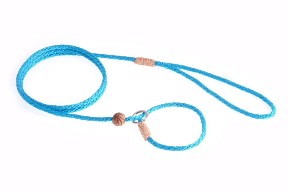 Nylon Slip Lead With Stopper (4 ft x 1/8 in or 4 mm) - Pets Perfect