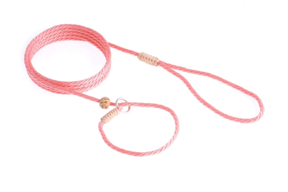 Nylon Slip Lead With Stopper (6 ft x 1/8 in or 4 mm) - Pets Perfect