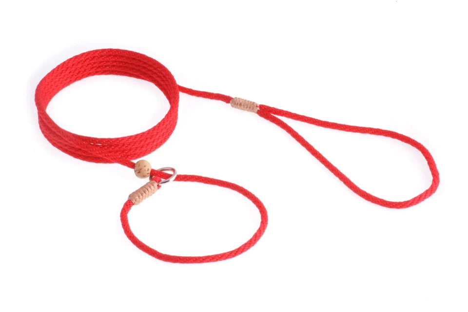 Nylon Slip Lead With Stopper (6 ft x 1/8 in or 4 mm) - Pets Perfect