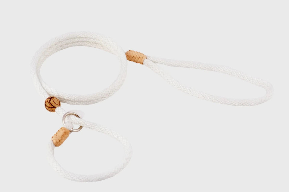 Nylon Slip Lead With Stopper (4 ft x 1/4 in or 6 mm) - Pets Perfect