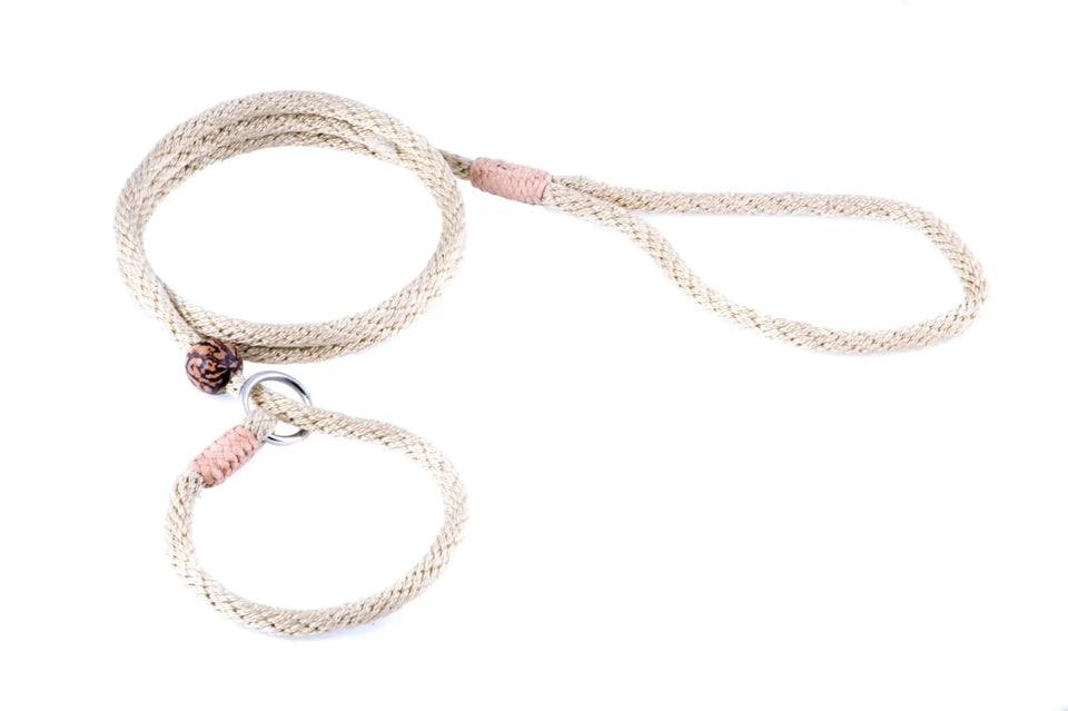 Nylon Slip Lead With Stopper (4 ft x 1/4 in or 6 mm) - Pets Perfect