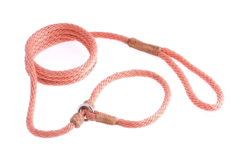 Nylon Slip Dog Leash With 2 Stoppers (6 ft x 5/16 in or 8 mm) - Pets Perfect