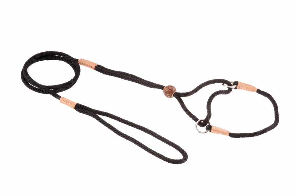 Nylon Martingale Leads (8 in x 1/8 in or 4 mm) - Pets Perfect