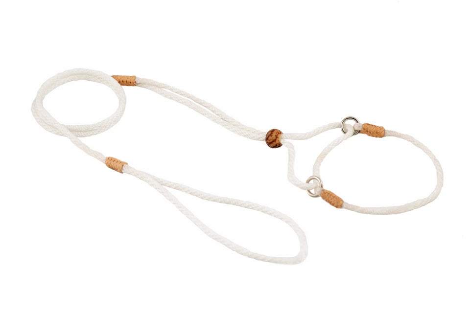 Nylon Martingale Leads (8 in x 1/8 in or 4 mm) - Pets Perfect