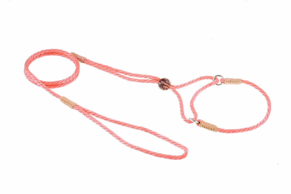 Nylon Martingale Leads (8 in x 1/8 in or 4 mm) - Pets Perfect