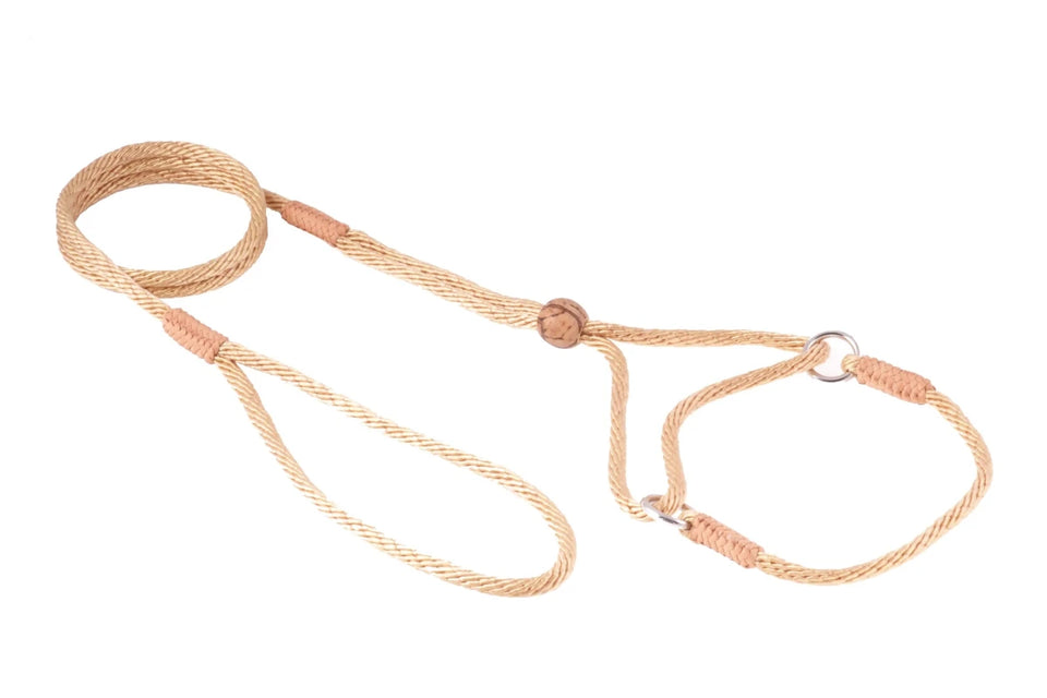 Nylon Martingale Leads (8 in x 1/8 in or 4 mm) - Pets Perfect