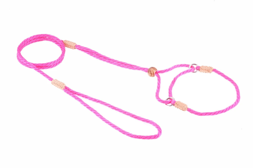 Nylon Martingale Leads (8 in x 1/8 in or 4 mm) - Pets Perfect