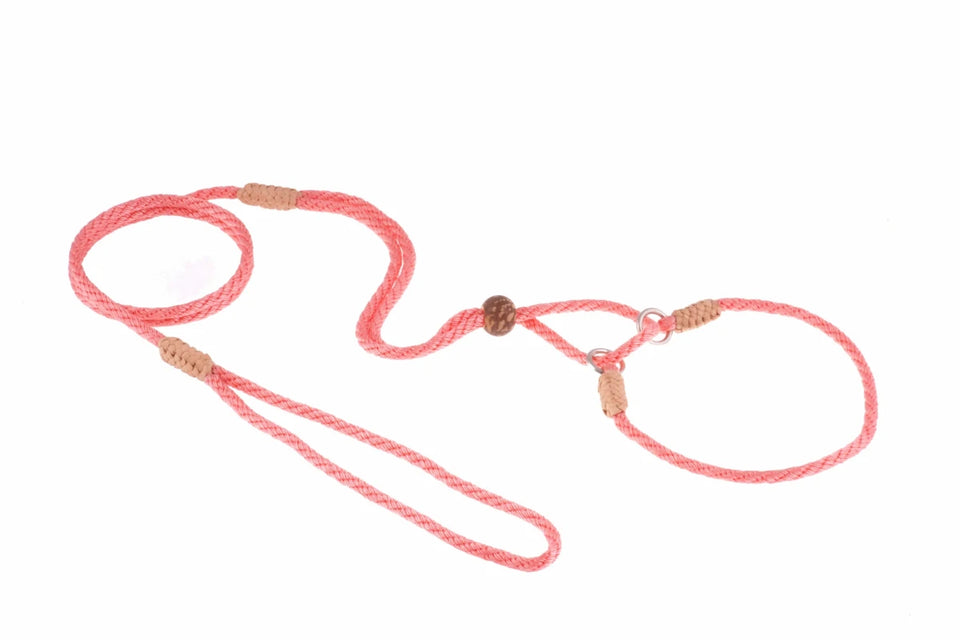 Nylon Martingale Leads (10 in x 1/8 in or 4 mm) - Pets Perfect