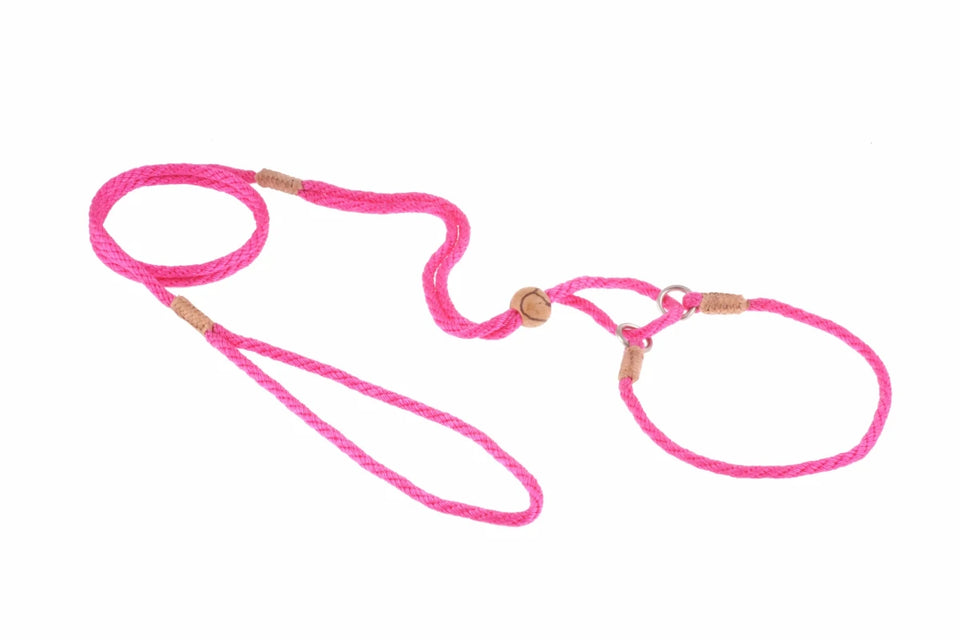 Nylon Martingale Leads (10 in x 1/8 in or 4 mm) - Pets Perfect