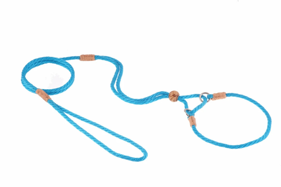 Nylon Martingale Leads (10 in x 1/8 in or 4 mm) - Pets Perfect