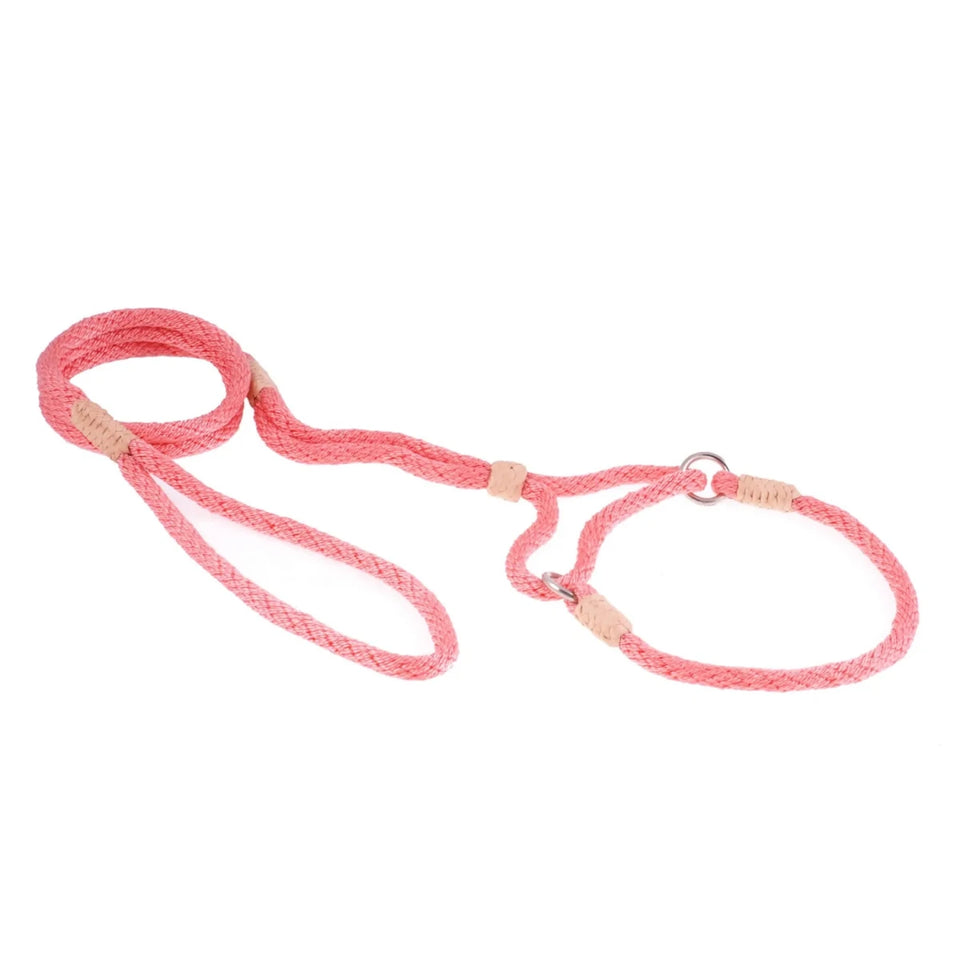 Nylon Martingale Leads (10 in x 1/4 in or 6 mm) - Pets Perfect
