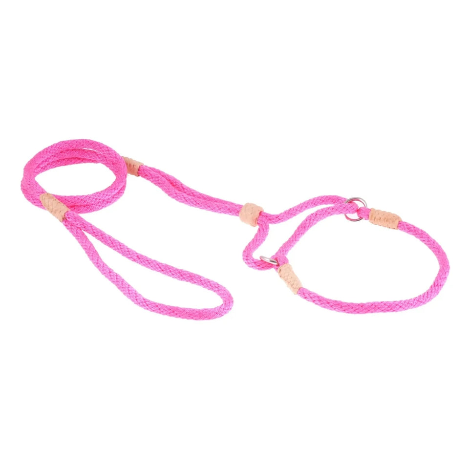 Nylon Martingale Leads (10 in x 1/4 in or 6 mm) - Pets Perfect
