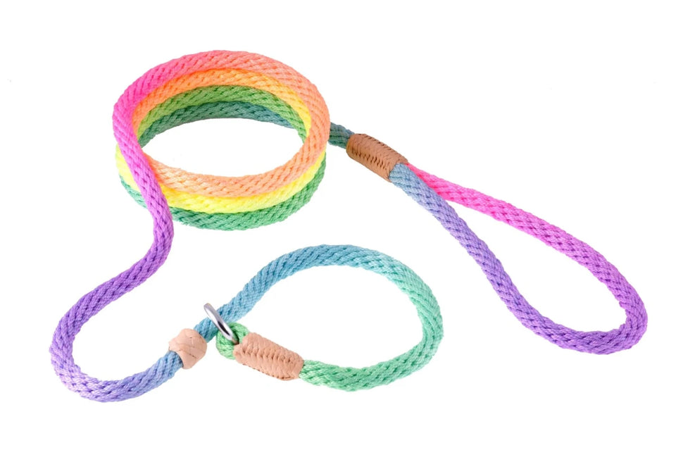 Nylon Slip Dog Leash With 2 Stoppers (6 ft x 5/16 in or 8 mm) - Pets Perfect