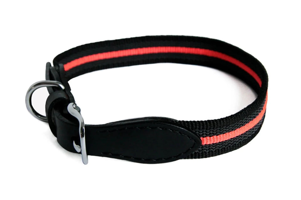 Alvalley Reflective Anti-Slip Dog Collar with Buckle (20 in x 1 in) - Pets Perfect
