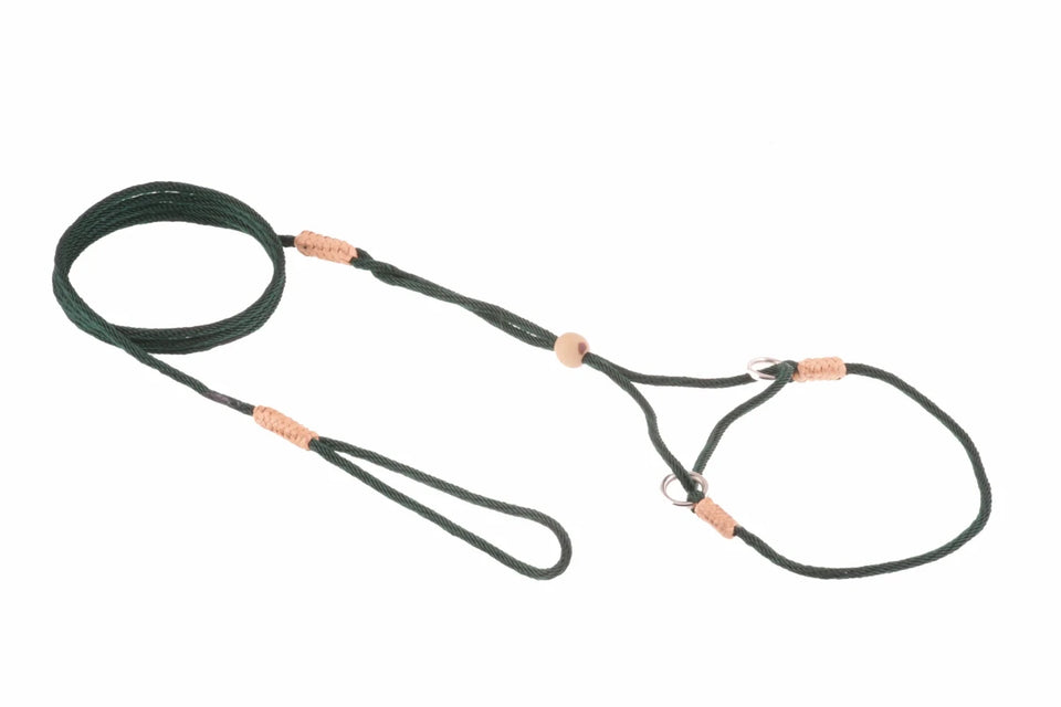 Nylon Martingale Leads (8 in x 1/16 or 2 mm) - Pets Perfect