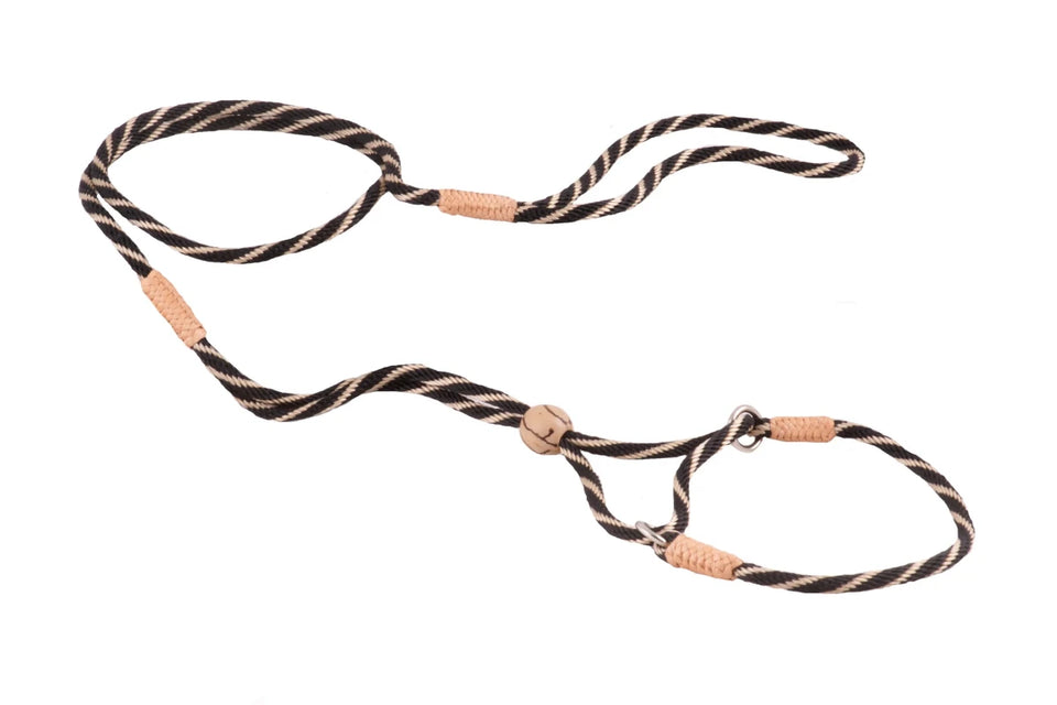 Nylon Martingale Leads (8 in x 1/8 in or 4 mm) - Pets Perfect