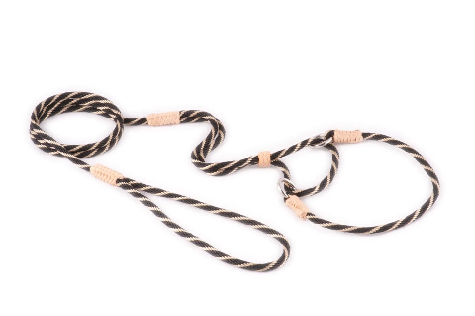 Nylon Martingale Leads (10 in x 1/8 in or 4 mm) - Pets Perfect
