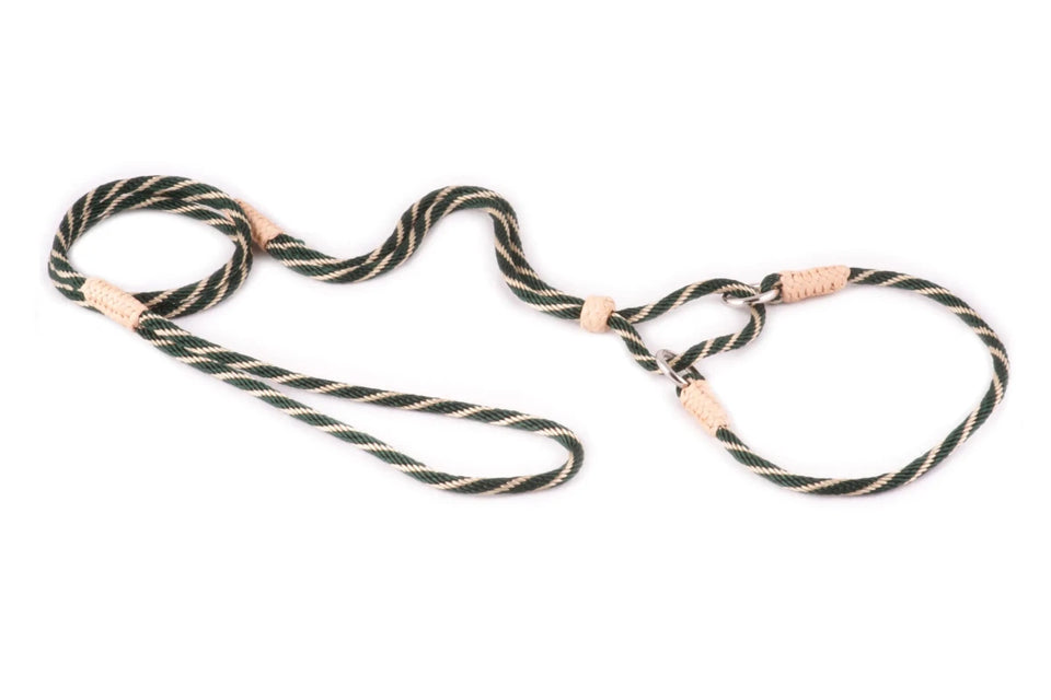 Nylon Martingale Leads (10 in x 1/8 in or 4 mm) - Pets Perfect
